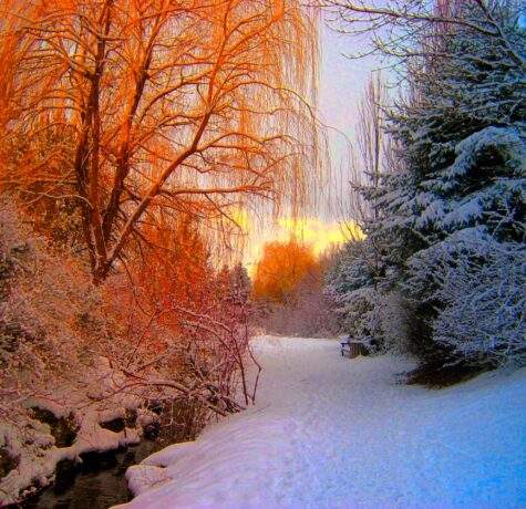 season for roof replacement