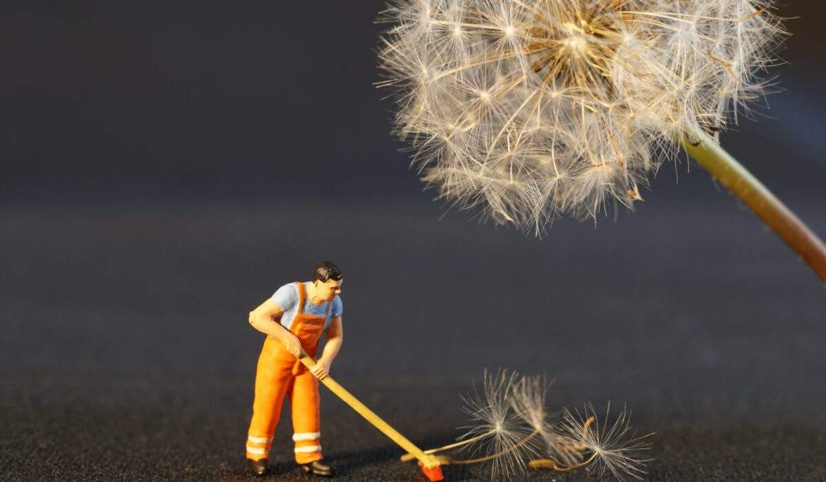 best roofers guide to cleaning