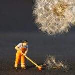 best roofers guide to cleaning