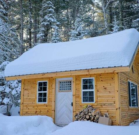 roof company tiny house