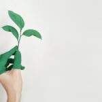 eco friendly roofing contractors in vermont