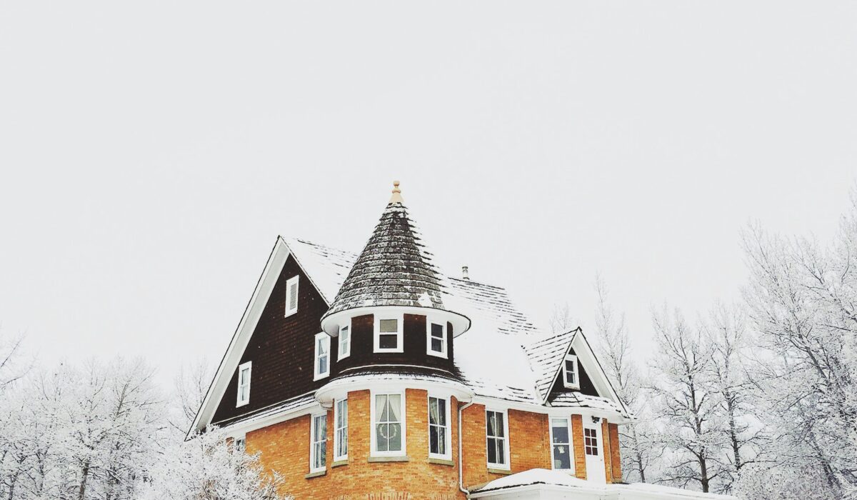 winter roof protection