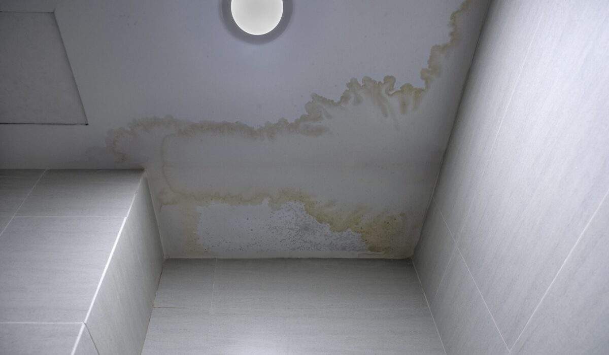 Home ceiling shows signs of roof leak.