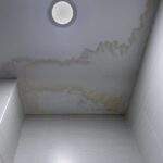 Home ceiling shows signs of roof leak.